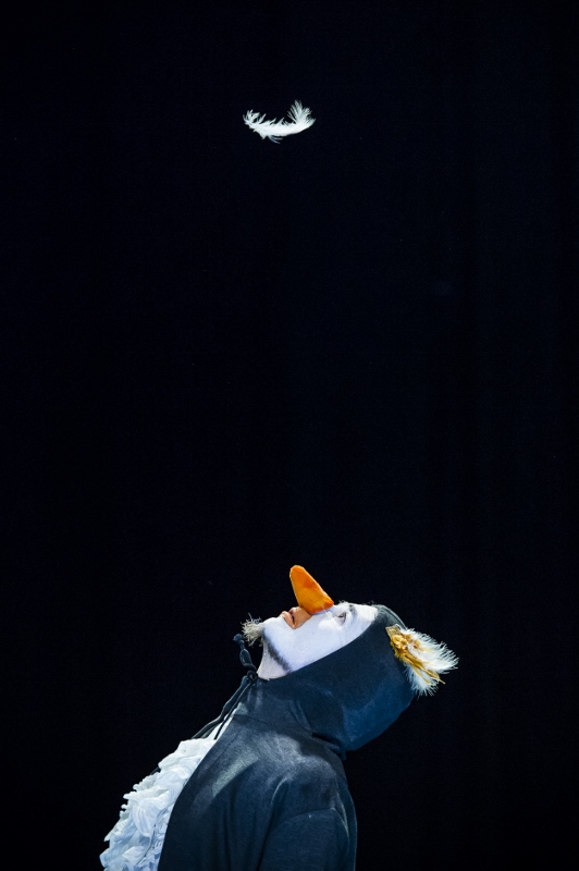 Asou Theater - Oamenii Pinguin